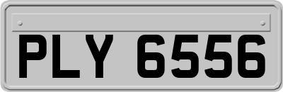 PLY6556