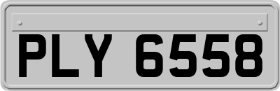 PLY6558