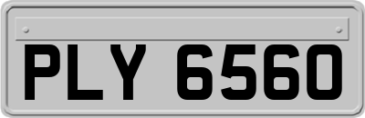 PLY6560