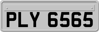 PLY6565