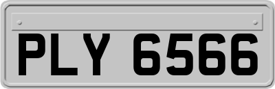 PLY6566