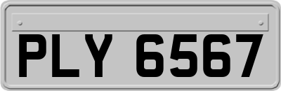 PLY6567