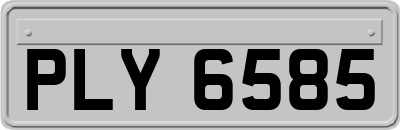 PLY6585