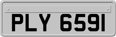 PLY6591