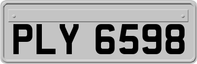 PLY6598