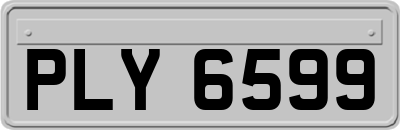 PLY6599