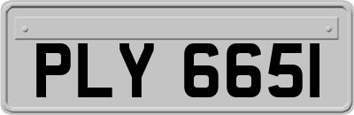 PLY6651