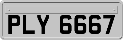PLY6667