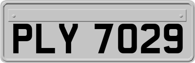 PLY7029