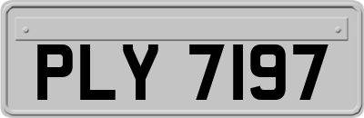 PLY7197