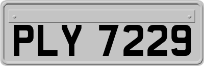 PLY7229