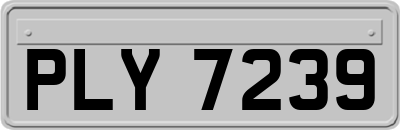 PLY7239