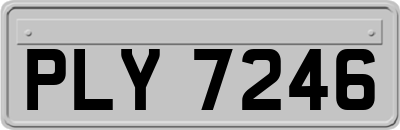 PLY7246