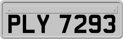 PLY7293