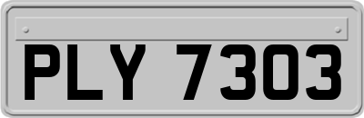 PLY7303