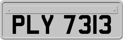 PLY7313