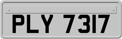 PLY7317