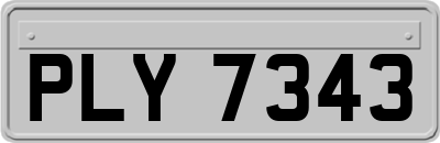 PLY7343