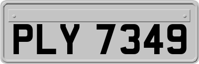 PLY7349