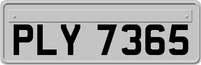 PLY7365