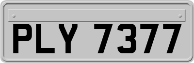 PLY7377