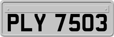 PLY7503