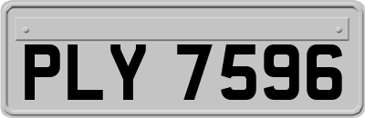 PLY7596