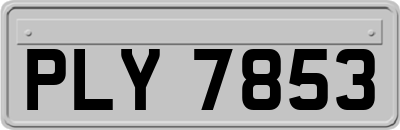 PLY7853