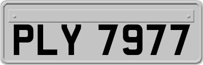 PLY7977