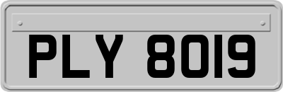 PLY8019