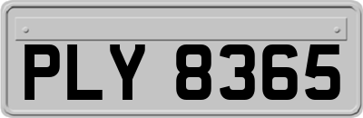 PLY8365
