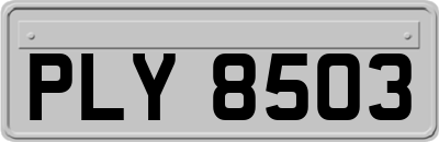 PLY8503