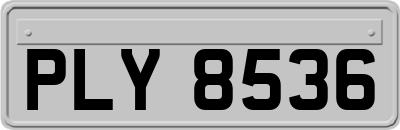 PLY8536