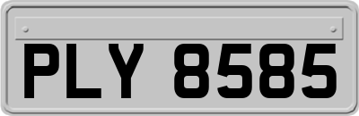 PLY8585