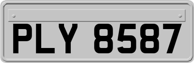 PLY8587