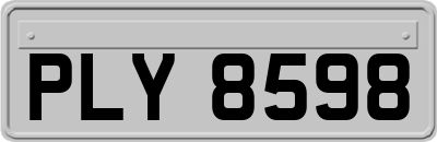 PLY8598