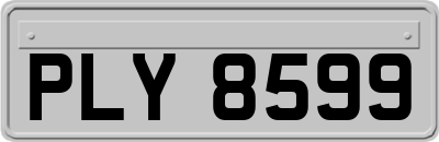 PLY8599