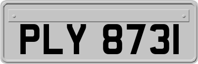 PLY8731