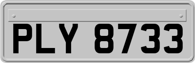 PLY8733