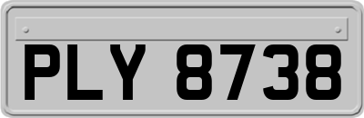 PLY8738