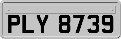 PLY8739