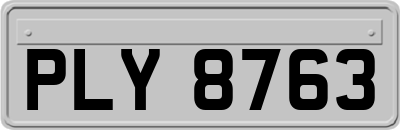 PLY8763