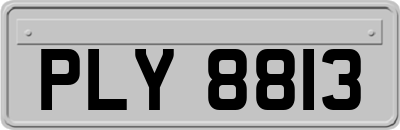 PLY8813