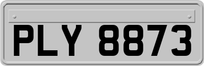 PLY8873