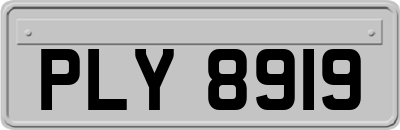 PLY8919