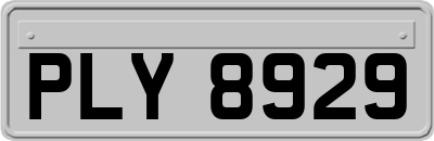 PLY8929