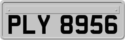 PLY8956