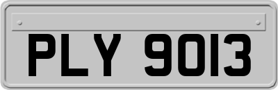 PLY9013