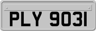 PLY9031