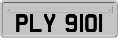 PLY9101